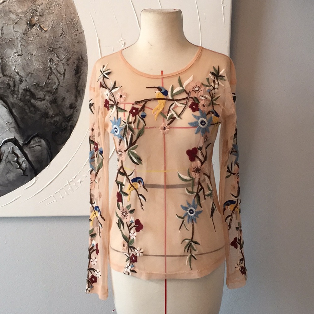 ZARA Sheer Blush Floral Top